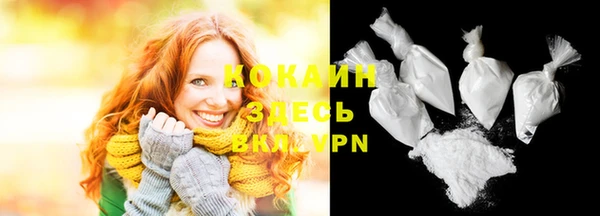 ешки Бородино