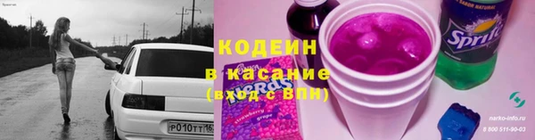 ешки Бородино