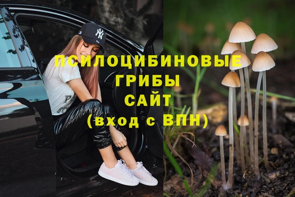 соль курить ск Бронницы