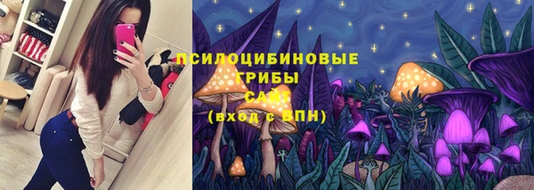 ешки Бородино