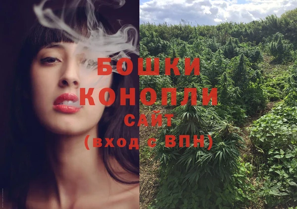 амф Володарск