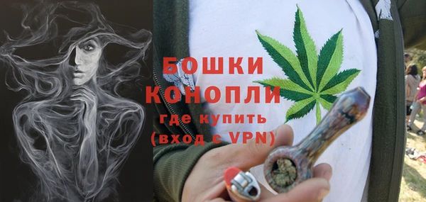 стафф Верхний Тагил